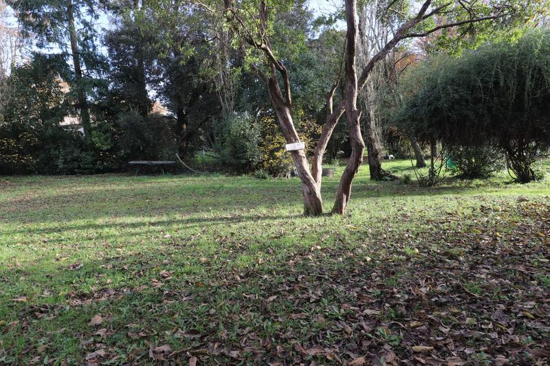 Maison contemporaine - 260 m² - 9 pièces