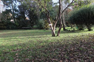 Maison contemporaine - 260 m² - 9 pièces