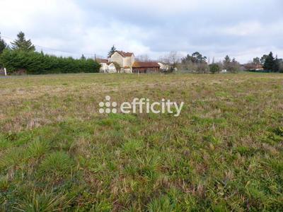 Terrain - 2 542 m²