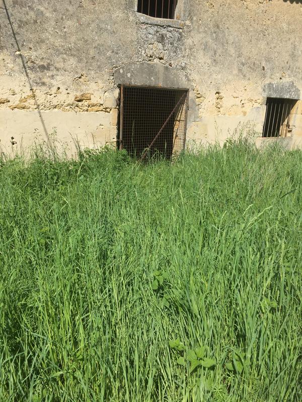 Maison - 240 m² - 7 pièces