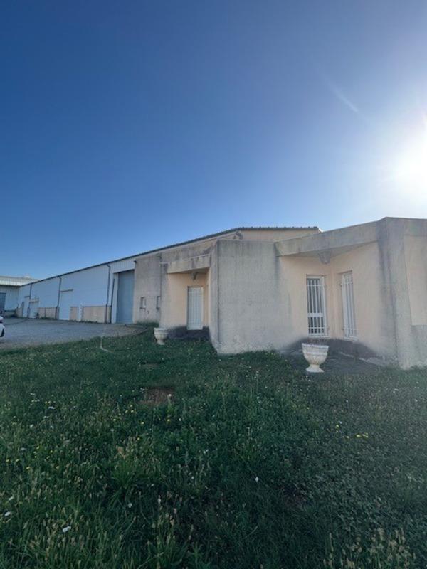 Bureau - 488 m² - 6 pièces