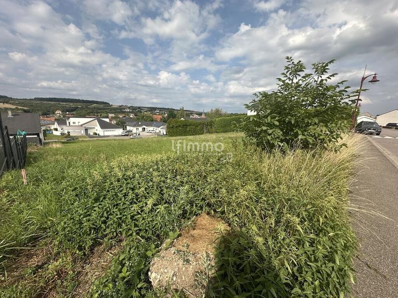 Terrain - 503 m²