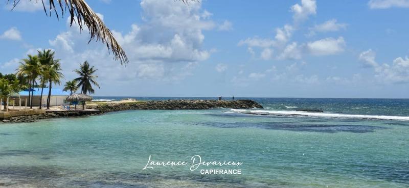 Studio - 20 m² - 1 pièce