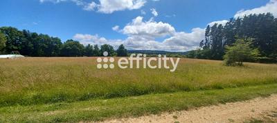 Terrain - 10 021 m²