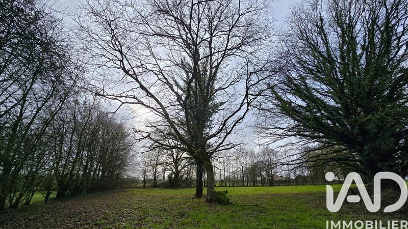 Ferme - 268 m² - 5 pièces