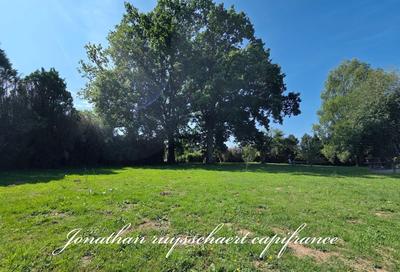 Maison de campagne - 250 m² - 10 pièces