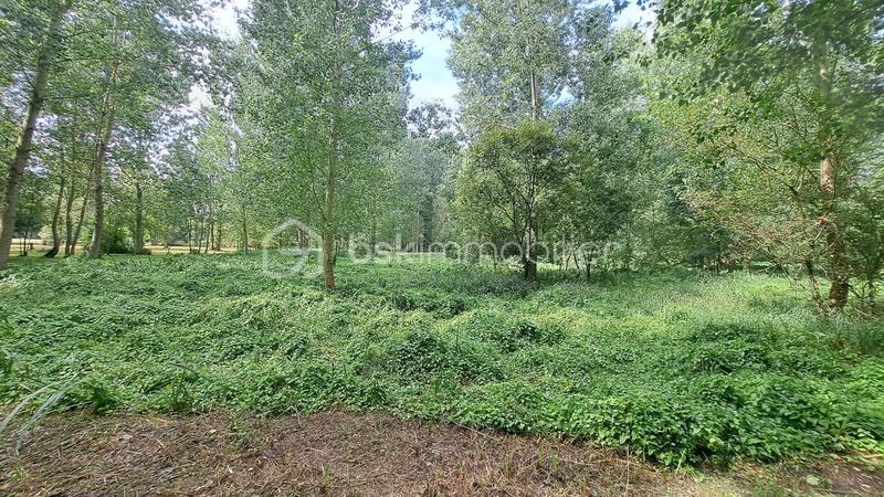 Châlet - 85 m² - 4 pièces