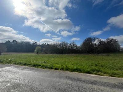 Terrain constructible - 2 543 m²