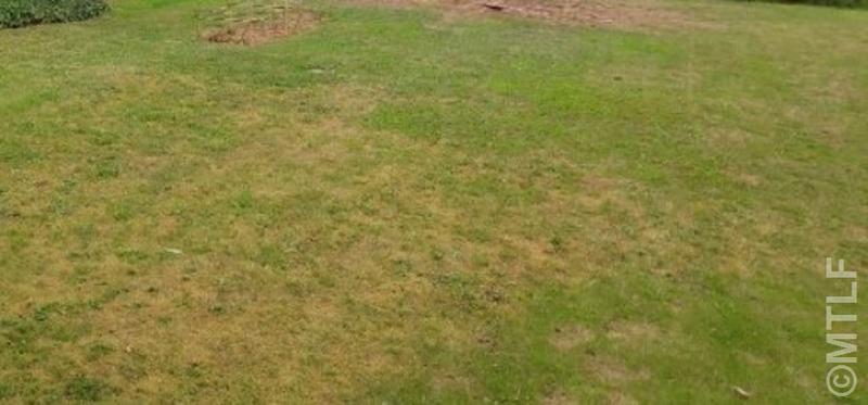 Terrain constructible - 650 m²