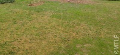 Terrain constructible - 650 m²