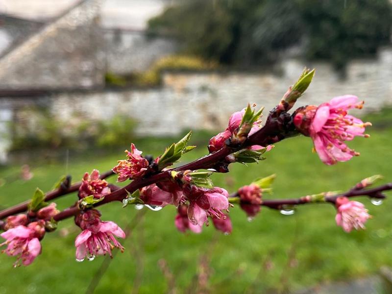 Maison - 67 m² - 4 pièces
