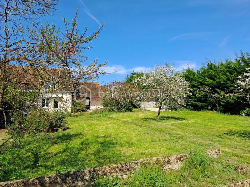 Maison en pierre - 151 m² - 6 pièces