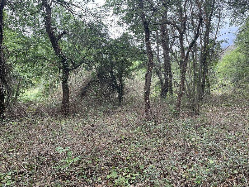 Terrain - 25 400 m²