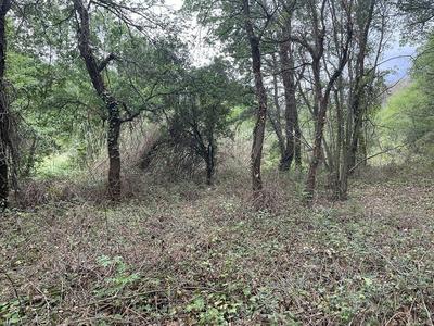 Terrain - 25 400 m²