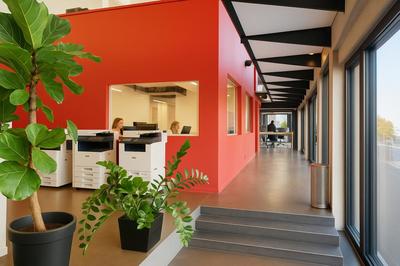 Local commercial - 355 m²