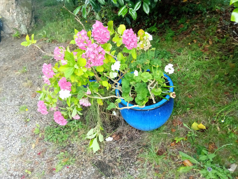 Maison - 80 m² - 3 pièces