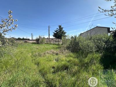 Terrain - 631 m²