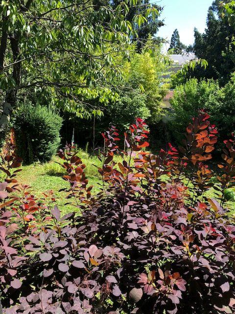 Maison - 103 m² - 4 pièces