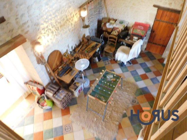 Viager - Maison ancienne - 210 m² - 4 pièces