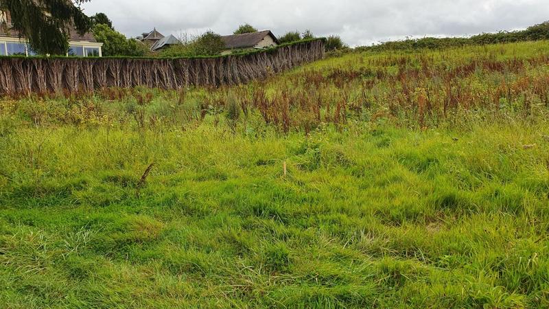 Terrain constructible - 1 435 m²