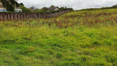 Terrain constructible - 1 435 m²