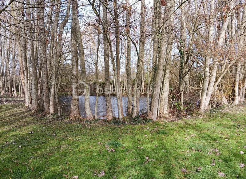 Terrain de loisirs - 2 900 m²