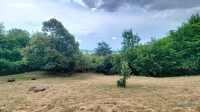 Terrain - 981 m²
