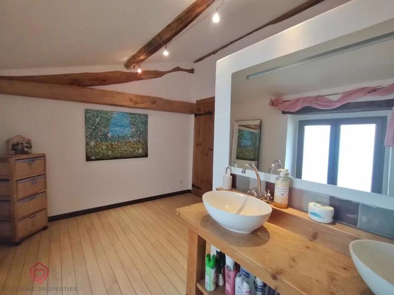 Maison ancienne - 530 m² - 12 pièces