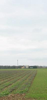 Terrain constructible - 429 m²