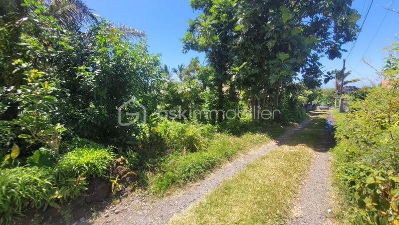 Terrain - 778 m²