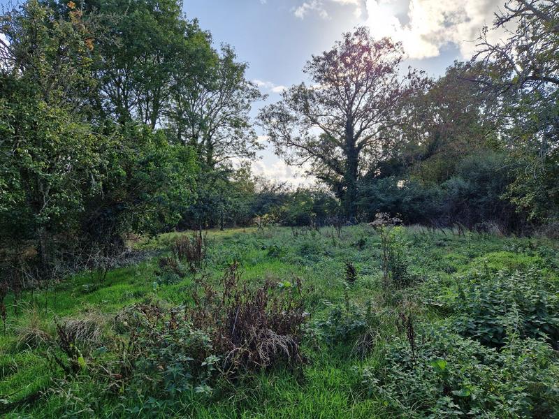 Ferme - 101 m² - 5 pièces