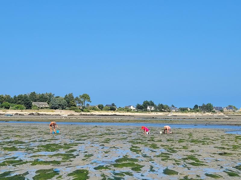 Conférence-débat sur la coque