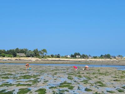 Conférence-débat sur la coque
