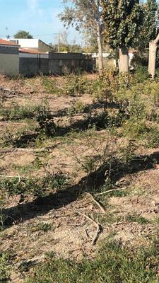 Terrain constructible - 802 m²