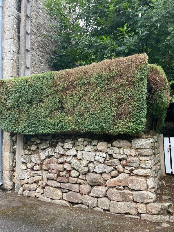 Maison en pierre - 53 m² - 3 pièces