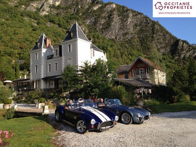 Château - 810 m² - 11 pièces