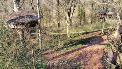 Fonds de commerce - 30 000 m²