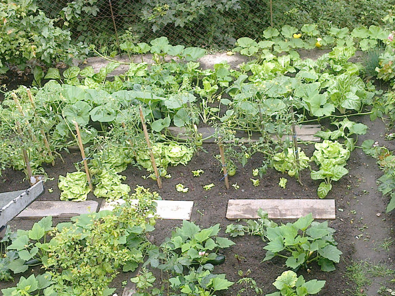 Maison - 81 m² - 4 pièces