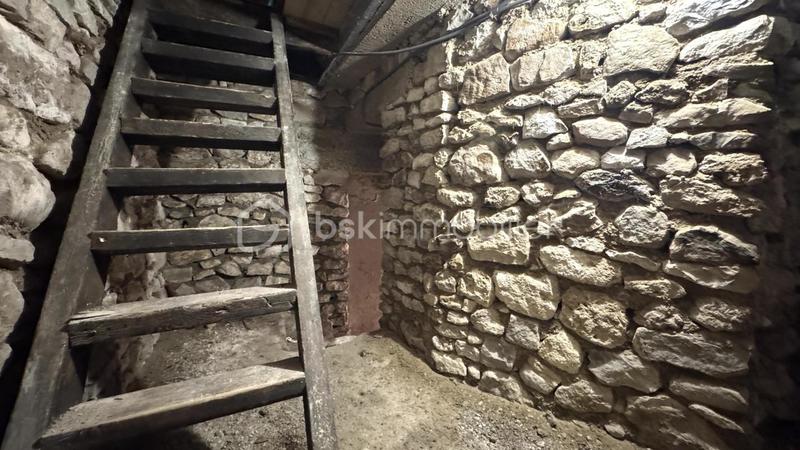 Maison en pierre - 333 m² - 11 pièces