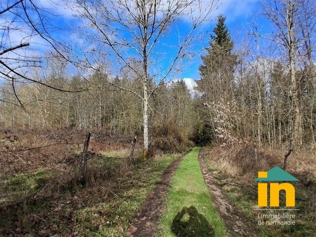 Propriété - 262 m² - 11 pièces