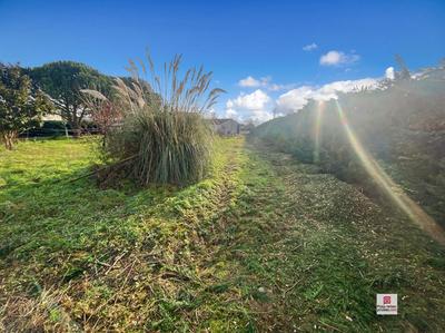 Terrain constructible - 973 m²
