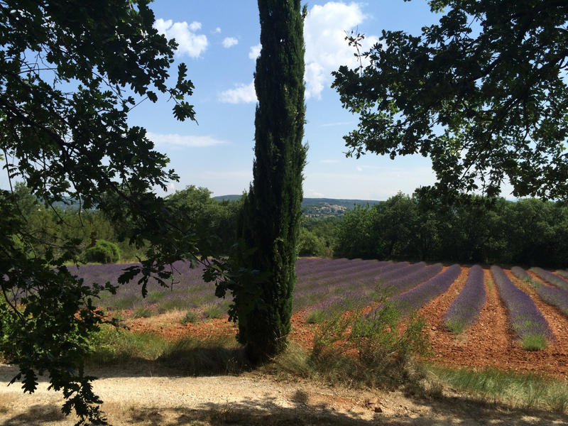 Mas - 250 m² - 7 pièces