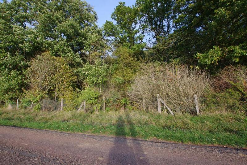 Terrain de loisirs - 2 663 m²