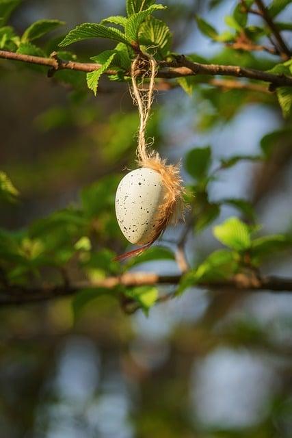 Manger les plantes sauvages même en automne