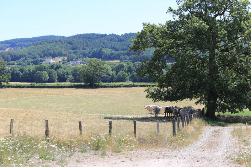 Terrain constructible - 446 m²