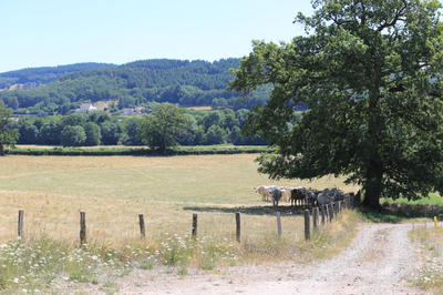 Terrain constructible - 446 m²