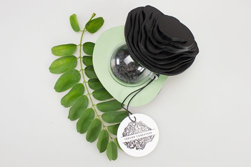 Aurélie, Graphiste Illustratrice