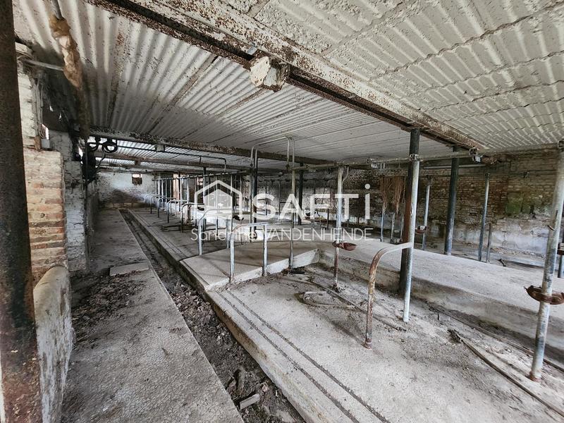 Ferme - 137 m² - 5 pièces