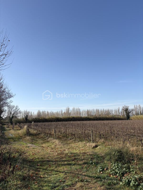 Terrain agricole - 35 235 m²