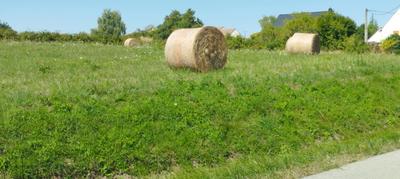 Terrain constructible - 4 000 m²